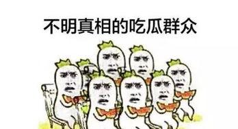 今日吃瓜的图片素材 往期热点热门大瓜,回顾往期热门大瓜，揭秘娱乐圈幕后真相